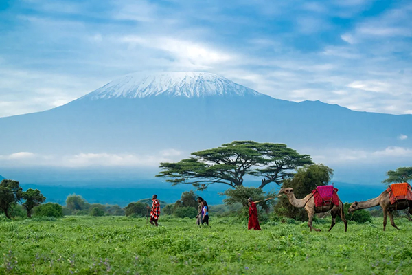 Camel walk - Tawi Lodge - Amboseli, Kenya