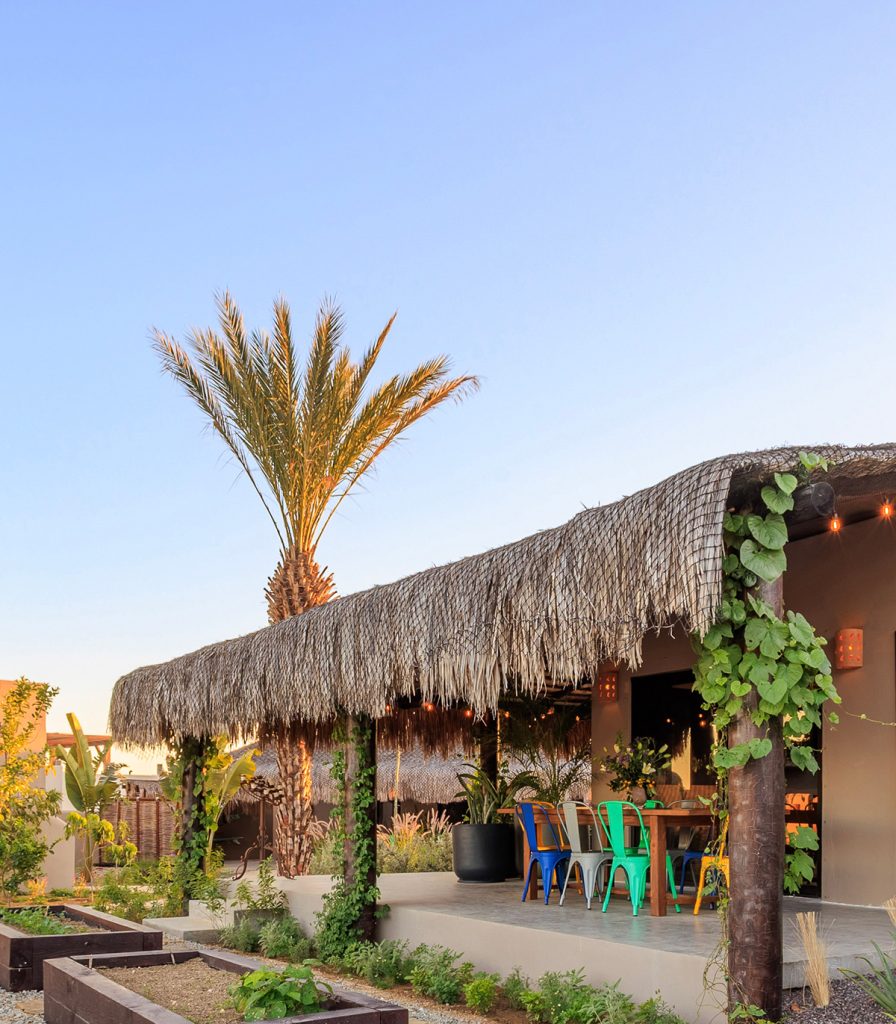 Casa Kura Kura - Wellness Center in Baja, Mexico