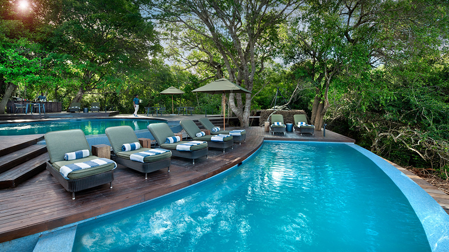 &Beyond Phinda Forest Lodge - Pool