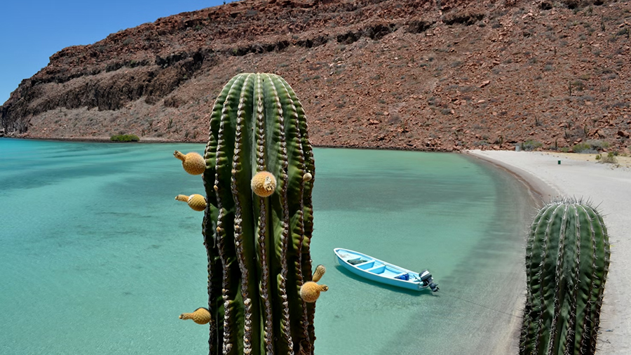 Baja, Mexico