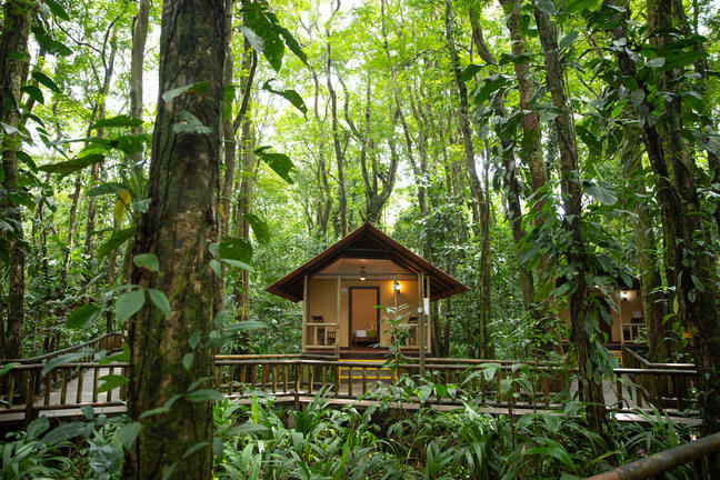 Bungalow at Evergreen Lodge - Tortuguero National Park, Costa Rica