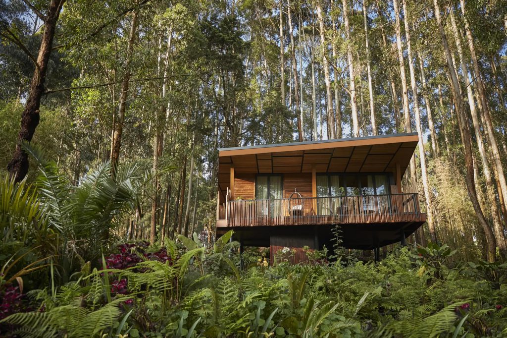 Forest Lodge - One & Only Gorilla's Nest - Ruhengeri, Rwanda
