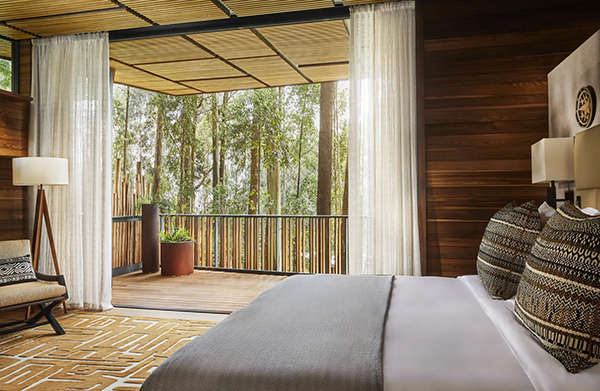 Room Interior - Forest Lodge - One & Only Gorilla's Nest