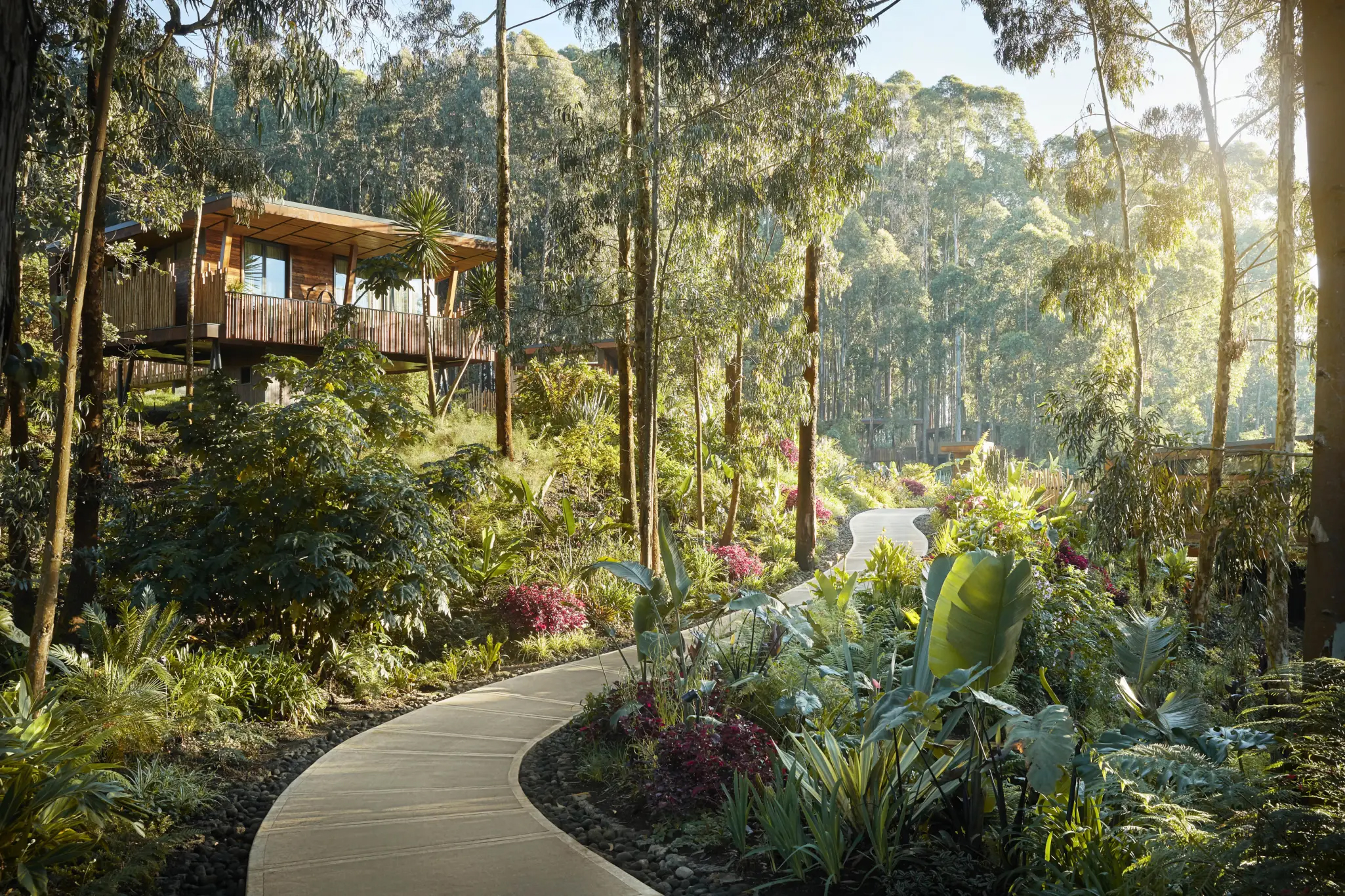 Forest Lodge - One & Only Gorilla's Nest - Ruhengeri, Rwanda