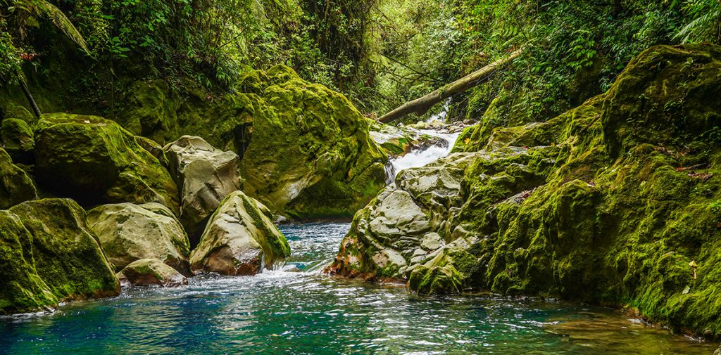 Provincia de Alajuela, Bajos del Toro, Costa Rica - Photo by Adrián Valverde on Unsplash