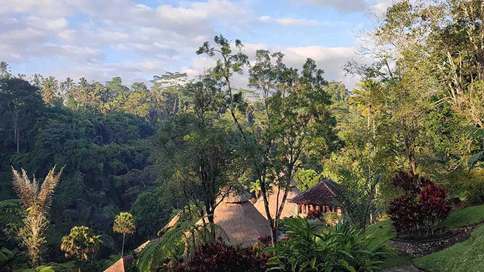 Bagus Jati - Health & Wellbeing Retreat in Bali