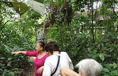 Pierella Ecological Garden