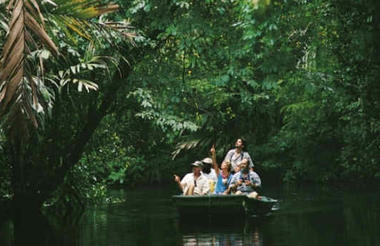 Boat tour in Tortuguero National Park