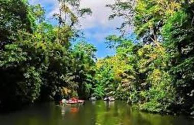 Boat tour in Tortuguero National Park