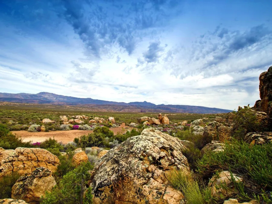 Cederberg, South Africa