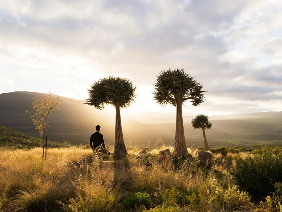 Cederberg - South Africa