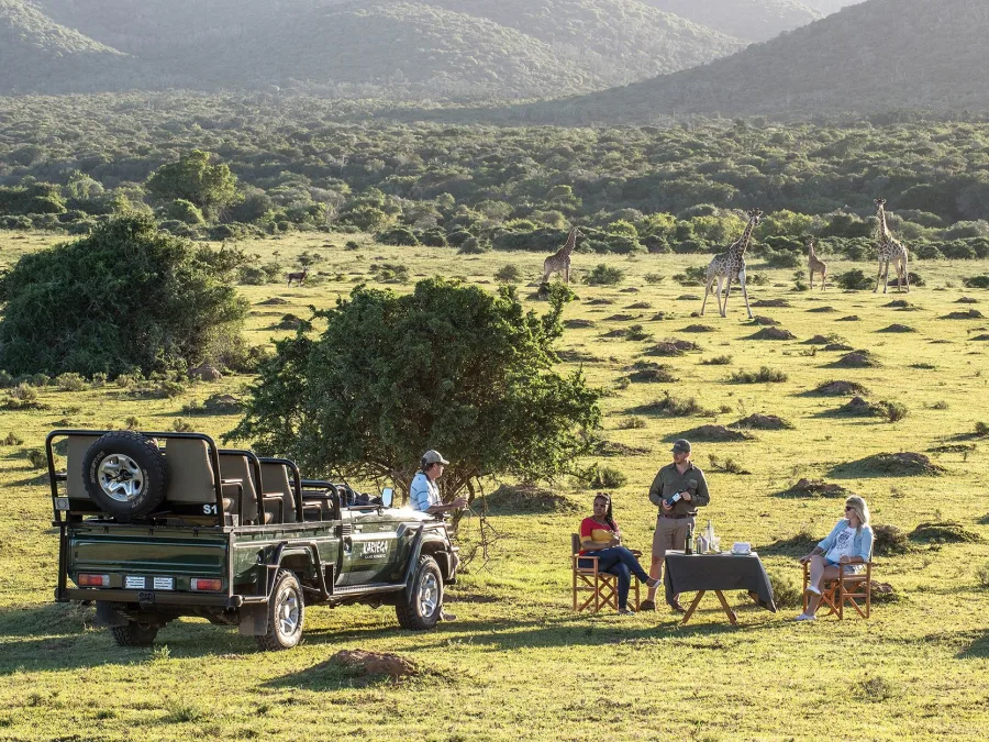 Safari in Eastern Cape - South Africa