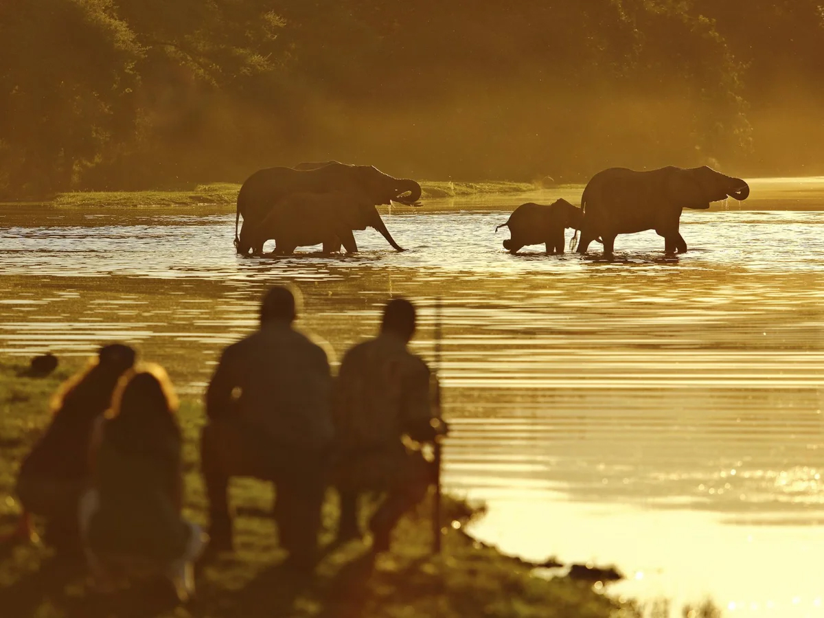 Elephants seen in Lower Zambezi National Park